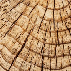 Indoor/Outdoor Faux Concrete Stump Accent Table Brown - Threshold™ Designed With Studio McGee -Furniture Store GUEST 03deabfd 2b62 4725 94b4 09a321ea8678